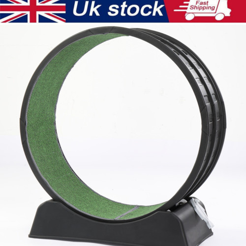 Cat exercise wheel - exercise,