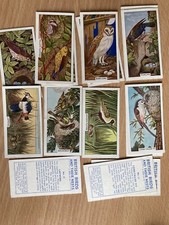 Sunlight Soap Cards - British Birds and their Nests - 1961 - Pick Your Cards