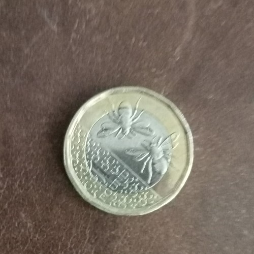 2025 pound coin king - pound,