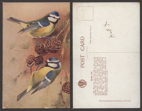 Old artist signed bird - signed,