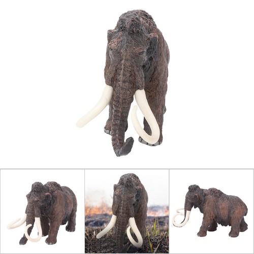 Animal model - (ancient, mammoth)animal