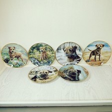 Danbury Mint Border Terrier by Paul Doyle Collectors Plates - Choose your plates