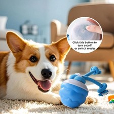 Dog Boredom Stimulation Toys, Smart Pet Puppy Ball, Electric Dog Toy With Leash