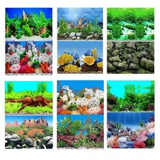 Aquarium Fish Tank Background
