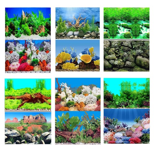 Aquarium fish tank background - tank,