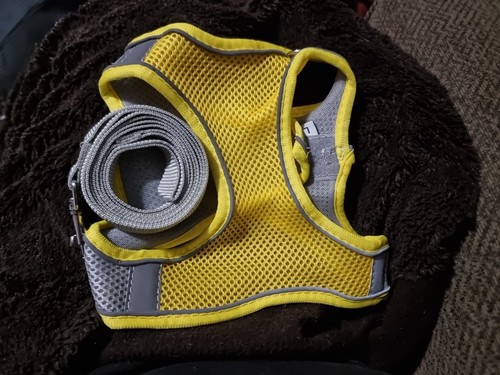 Yellow mesh rear clip - yellow,