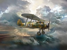 ICM 1/32 Scale Gloster