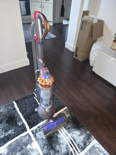 Dyson ball animal origin up34 - animal,