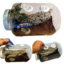 Tarantula,Spider,Scorpion