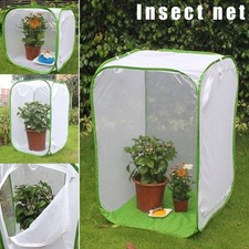 Mantis housing enclosure farm - mantis,