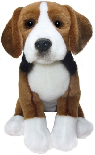 Hamilton hound teddy - teddy, dog