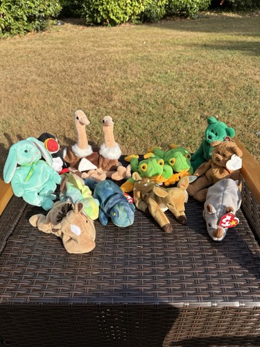 Beanie baby collection - beanie,