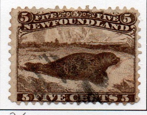 Newfoundland 1865 5 c - newfoundland,
