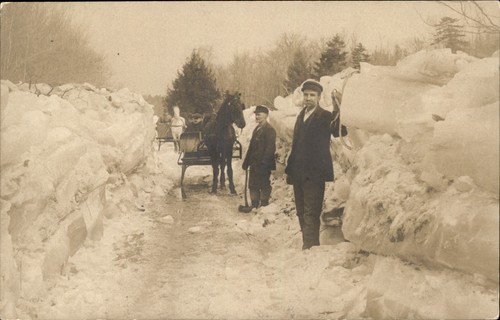 Horse drawn sleigh - sleigh, in