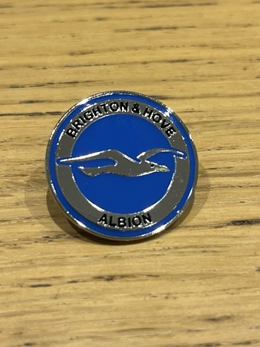 Brighton and hove albion - brighton,