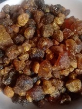 Rare Organic Boswellia Rivae