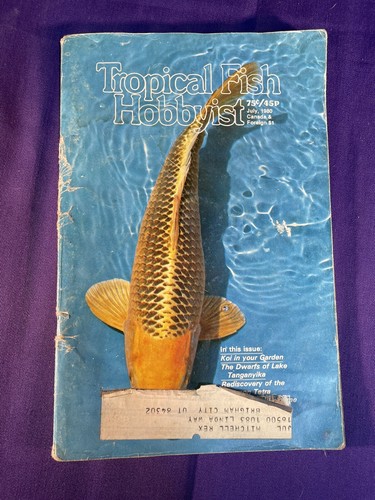 Tropical fish hobbyist - tropical,