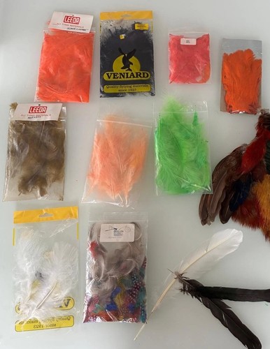 Marabou guinea - (8, &