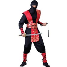 Wicked Costumes - Ninja Master