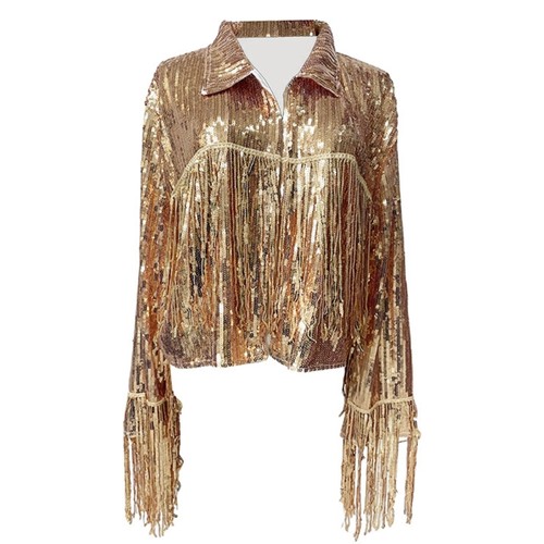 Sparkly sequins fringe long - sparkly,