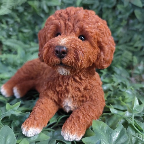 Vivid arts rl labradoodle - -,