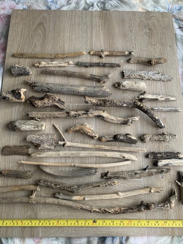 Driftwood pieces medium - driftwood,