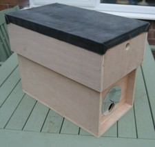 Bee nuc nucleus box for - for, swarms