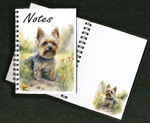 Yorkshire terrier dog - yorkshire,