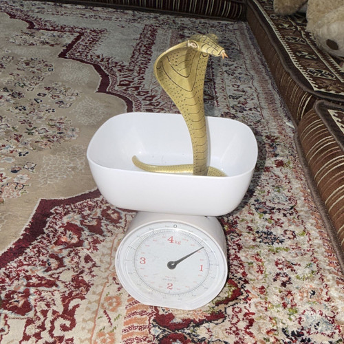 Gold metal cobra - gold,
