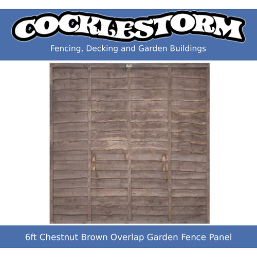 6ft high wide chestnut - x,
