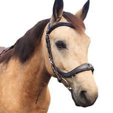 Multibridle by Equine Balance