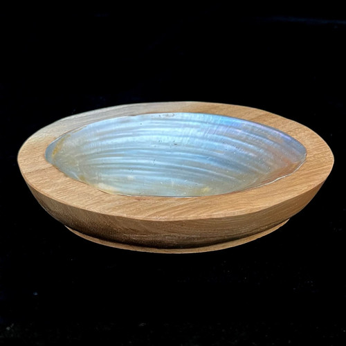 Wood polished oyster - &,
