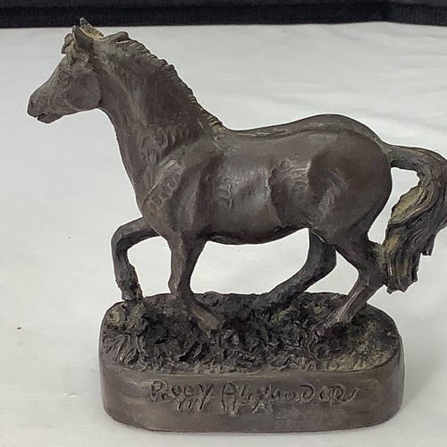 Welsh mountain pony - mountain,