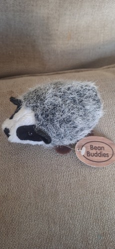 Living nature hedgehog - 4",