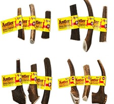 NOVA ANTLER BAR : Small