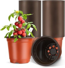 100 Pack 10cm Plastic Plant