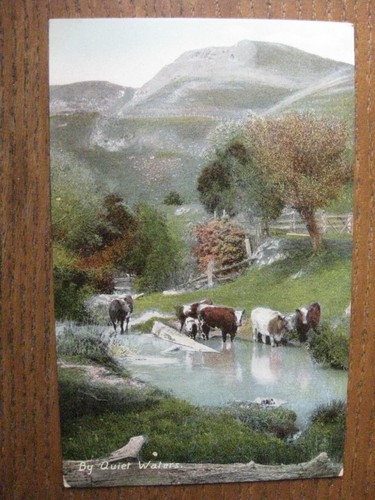 Quiet waters - by,