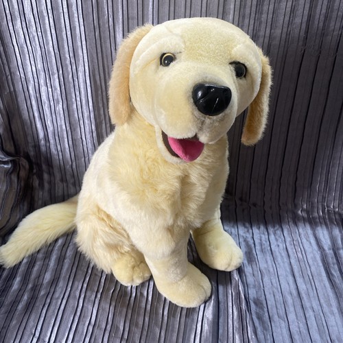 Golden labrador retriever - golden,
