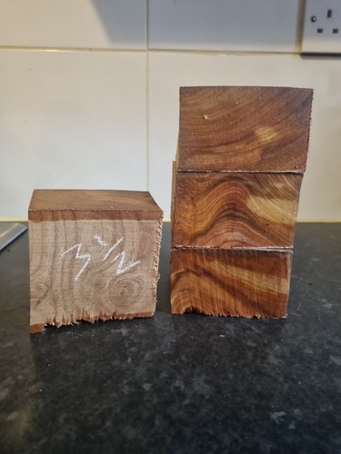 Pack elm mini blanks - pack,