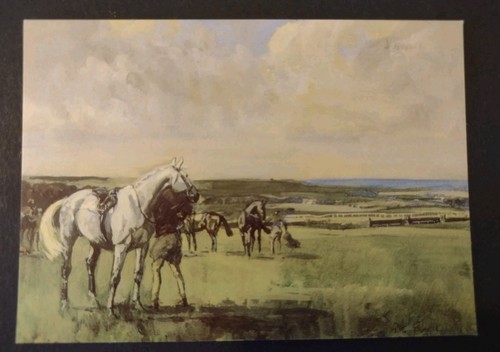 Horse racing postcard peter - postcard,,