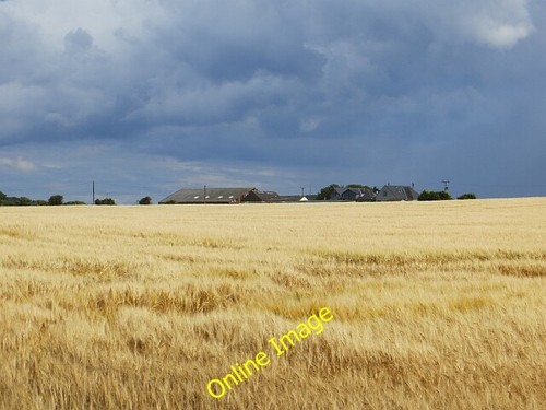 Photo 6x4 barley north - photo, barley,