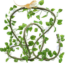 Reptile tank accessories - reptile,
