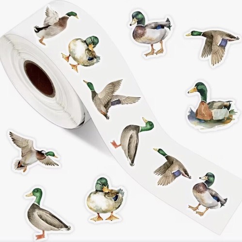 Mallard duck mix - mallard, stickers
