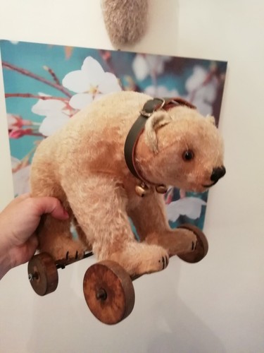 German antique rare bear on - german?,