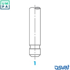4x INTAKE VALVE 0665 FOR 18