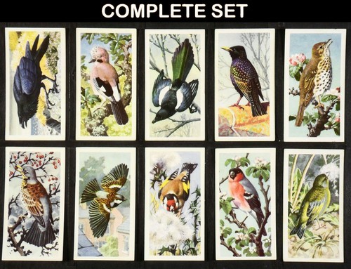 Bird portraits brooke bond - bird,