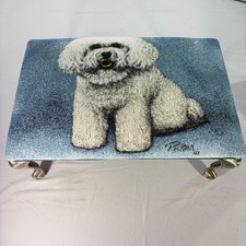 Picken Bichon Frise Dog