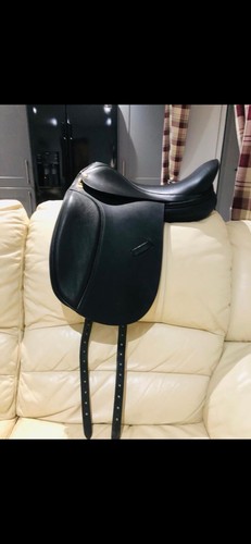 Harry dabbs dressage - ,