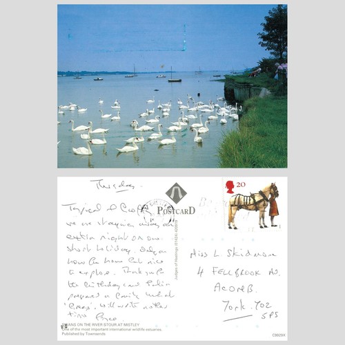 Vintage postcard swans - postcard, on