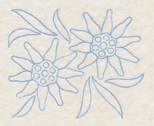 Vintage Embroidery Transfer